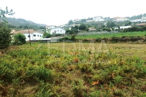 Terra a Roriz, Porto, Roriz - € 55.000 | Ref: MM2410XC01T1 - foto 2