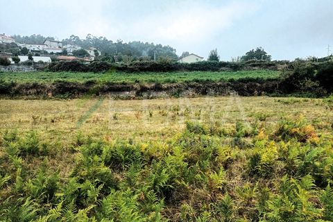Terra a Roriz, Porto, Roriz - € 55.000 | Ref: MM2410XC01T1 - foto 3