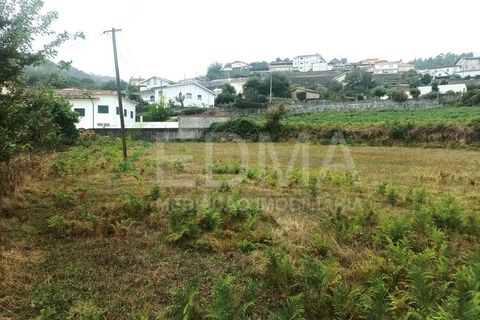 Terra a Roriz, Porto, Roriz - € 55.000 | Ref: MM2410XC01T1 - foto 5