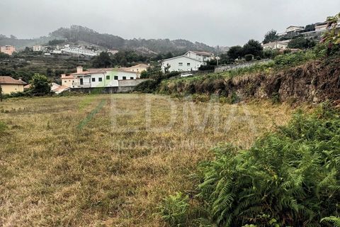 Terra a Roriz, Porto, Roriz - € 55.000 | Ref: MM2410XC01T1 - foto 8