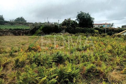 Terra a Roriz, Porto, Roriz - € 55.000 | Ref: MM2410XC01T1 - foto 9