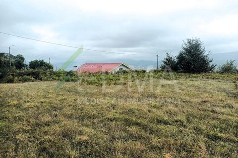 Terra a Roriz, Porto, Roriz - € 55.000 | Ref: MM2410XC01T1 - foto 10