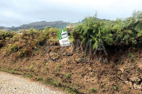 Terra a Roriz, Porto, Roriz - € 55.000 | Ref: MM2410XC01T1 - foto 12