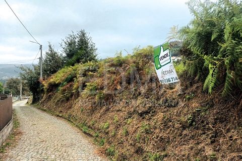 Terra a Roriz, Porto, Roriz - € 55.000 | Ref: MM2410XC01T1 - foto 13