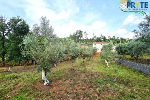 Farm i Castelo Branco, Castelo Branco, Castelo Branco - € 382.500 | Ref: AS149 - foto 43