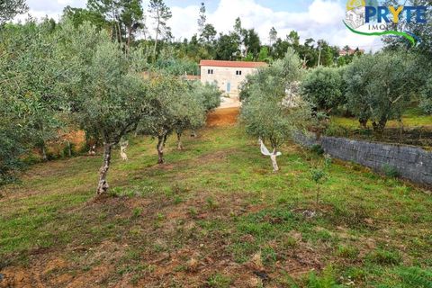 Farm i Castelo Branco, Castelo Branco, Castelo Branco - € 382.500 | Ref: AS149 - foto 44
