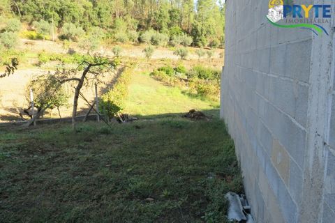 Villa a Serta, Castelo Branco, Serta - € 519.000 | Ref: AA309 - foto 12