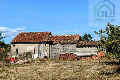 Villa i Tabua, Coimbra, Tabua - € 130.000 | Ref: 615 - foto 2