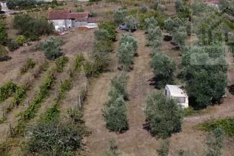 Villa i Tabua, Coimbra, Tabua - € 130.000 | Ref: 615 - foto 8