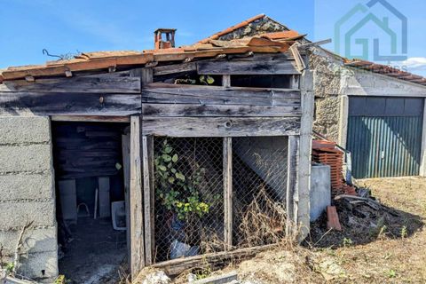 Villa i Tabua, Coimbra, Tabua - € 130.000 | Ref: 615 - foto 9