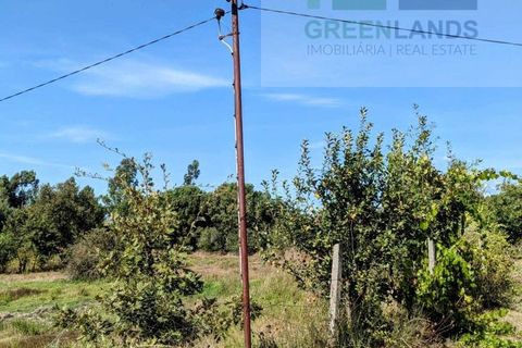 Villa i Tabua, Coimbra, Tabua - € 130.000 | Ref: 615 - foto 15