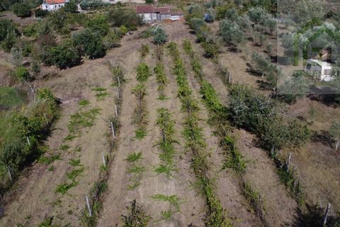 Villa i Tabua, Coimbra, Tabua - € 130.000 | Ref: 615 - foto 16