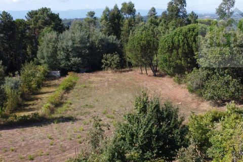 Villa i Tabua, Coimbra, Tabua - € 130.000 | Ref: 615 - foto 17