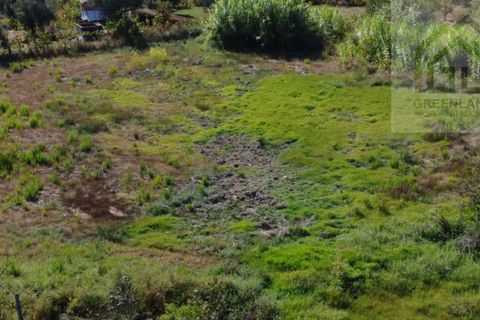 Villa i Tabua, Coimbra, Tabua - € 130.000 | Ref: 615 - foto 18