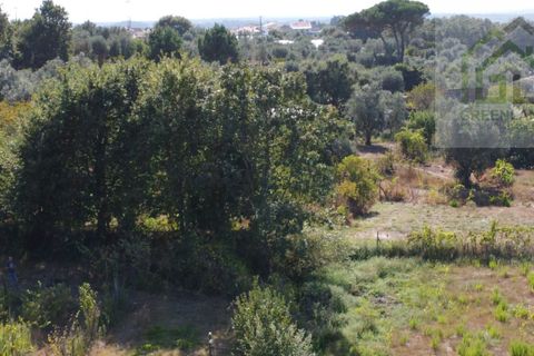 Villa i Tabua, Coimbra, Tabua - € 130.000 | Ref: 615 - foto 19