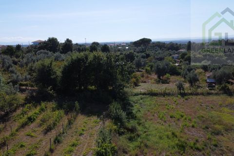 Villa i Tabua, Coimbra, Tabua - € 130.000 | Ref: 615 - foto 20