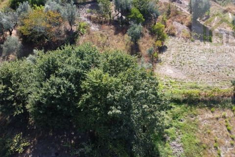 Villa i Tabua, Coimbra, Tabua - € 130.000 | Ref: 615 - foto 21