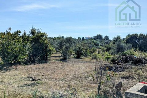 Villa i Tabua, Coimbra, Tabua - € 130.000 | Ref: 615 - foto 24