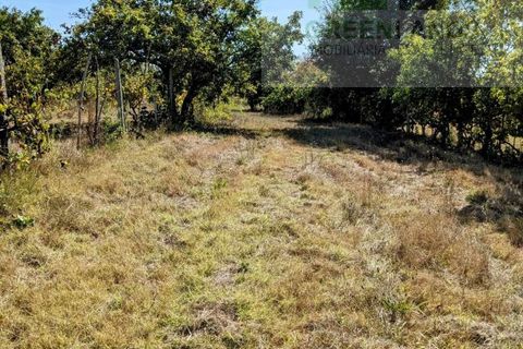 Villa i Tabua, Coimbra, Tabua - € 130.000 | Ref: 615 - foto 25