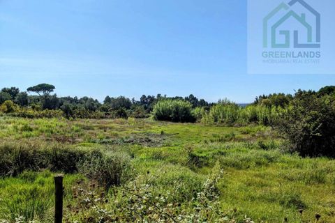 Villa i Tabua, Coimbra, Tabua - € 130.000 | Ref: 615 - foto 26