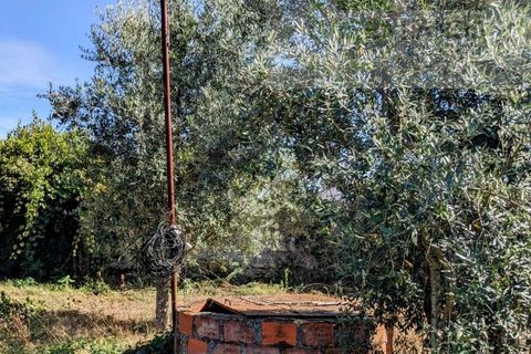 Villa i Tabua, Coimbra, Tabua - € 130.000 | Ref: 615 - foto 27