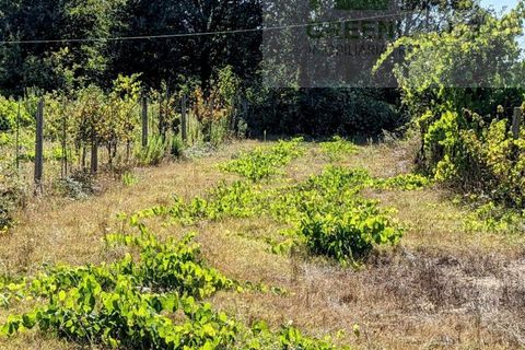 Villa i Tabua, Coimbra, Tabua - € 130.000 | Ref: 615 - foto 28