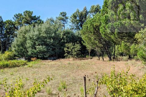 Villa i Tabua, Coimbra, Tabua - € 130.000 | Ref: 615 - foto 29