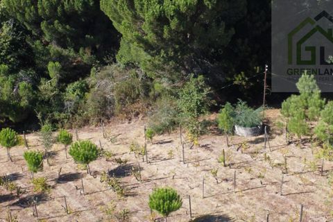 Helårsgrund i Tabua, Coimbra, Tabua - € 95.000 | Ref: 616 - foto 6