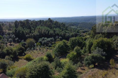 Helårsgrund i Tabua, Coimbra, Tabua - € 95.000 | Ref: 616 - foto 8