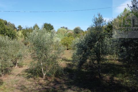 Helårsgrund i Tabua, Coimbra, Tabua - € 95.000 | Ref: 616 - foto 5