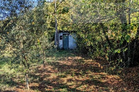 Helårsgrund i Tabua, Coimbra, Tabua - € 95.000 | Ref: 616 - foto 3