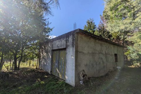 Helårsgrund i Tabua, Coimbra, Tabua - € 95.000 | Ref: 616 - foto 1