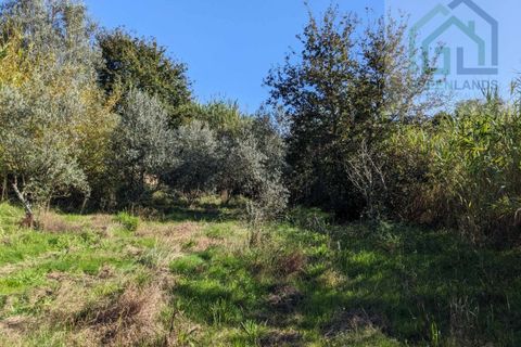 Helårsgrund i Tabua, Coimbra, Tabua - € 95.000 | Ref: 616 - foto 4