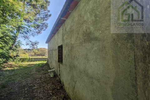 Helårsgrund i Tabua, Coimbra, Tabua - € 95.000 | Ref: 616 - foto 9