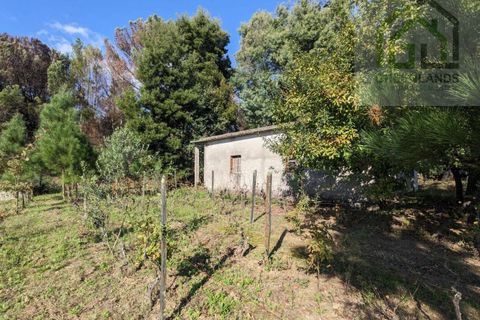 Helårsgrund i Tabua, Coimbra, Tabua - € 95.000 | Ref: 616 - foto 10