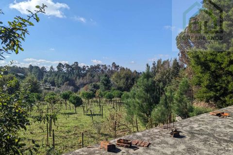 Helårsgrund i Tabua, Coimbra, Tabua - € 95.000 | Ref: 616 - foto 14