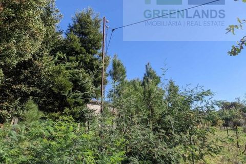 Helårsgrund i Tabua, Coimbra, Tabua - € 95.000 | Ref: 616 - foto 15