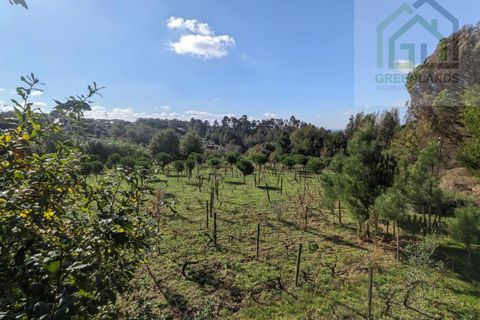 Helårsgrund i Tabua, Coimbra, Tabua - € 95.000 | Ref: 616 - foto 16