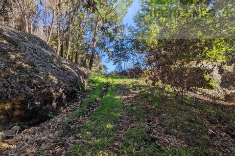 Helårsgrund i Tabua, Coimbra, Tabua - € 95.000 | Ref: 616 - foto 20