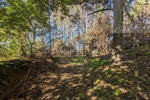 Helårsgrund i Tabua, Coimbra, Tabua - € 95.000 | Ref: 616 - foto 21