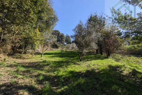 Helårsgrund i Tabua, Coimbra, Tabua - € 95.000 | Ref: 616 - foto 22