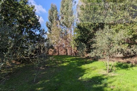 Helårsgrund i Tabua, Coimbra, Tabua - € 95.000 | Ref: 616 - foto 23