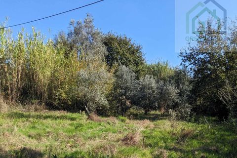 Helårsgrund i Tabua, Coimbra, Tabua - € 95.000 | Ref: 616 - foto 24