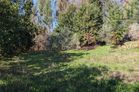 Helårsgrund i Tabua, Coimbra, Tabua - € 95.000 | Ref: 616 - foto 25