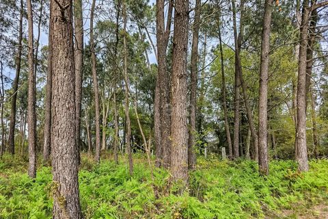 Helårsgrund i Barcelos, Braga, Barcelos - € 330.000 | Ref: 254240278 - foto 4