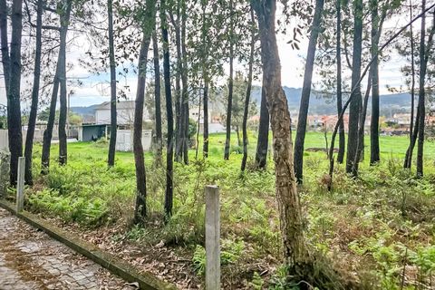 Helårsgrund i Barcelos, Braga, Barcelos - € 330.000 | Ref: 254240278 - foto 7