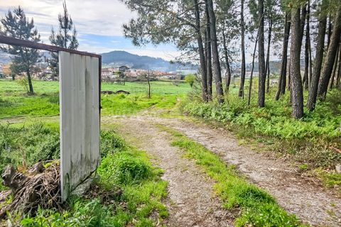 Helårsgrund i Barcelos, Braga, Barcelos - € 330.000 | Ref: 254240278 - foto 9