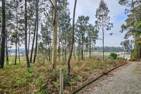 Helårsgrund i Barcelos, Braga, Barcelos - € 330.000 | Ref: 254240278 - foto 10