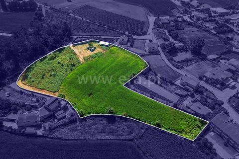 Helårsgrund i Barcelos, Braga, Barcelos - € 330.000 | Ref: 254240278 - foto 3