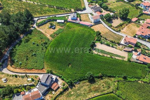 Helårsgrund i Barcelos, Braga, Barcelos - € 330.000 | Ref: 254240278 - foto 12